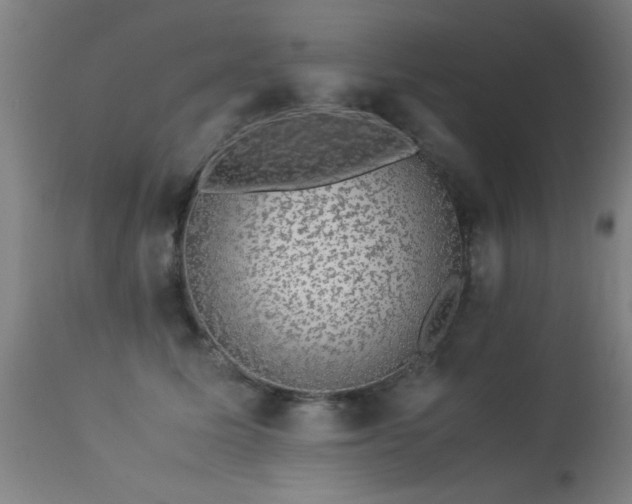 X0000113370611200909221225