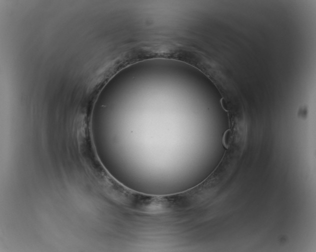 X0000113370612200909221225