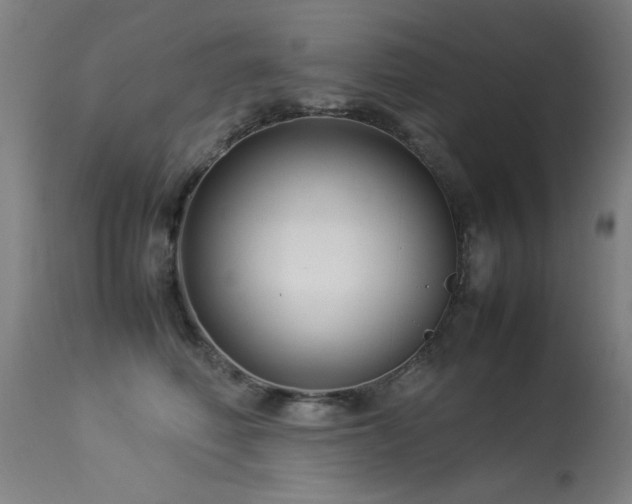 X0000113370614200909221225