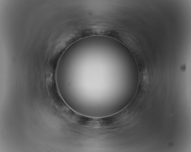 X0000113370615200909221225
