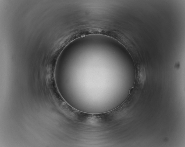 X0000113370616200909221225