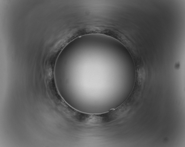 X0000113370617200909221225