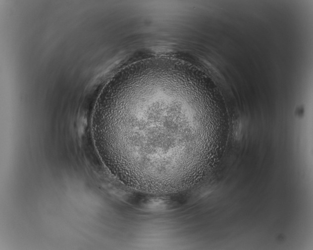 X0000113370618200909221224