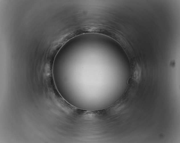 X0000113370620200909221224