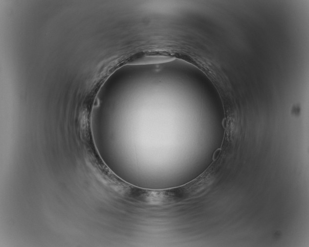 X0000113370623200909221224