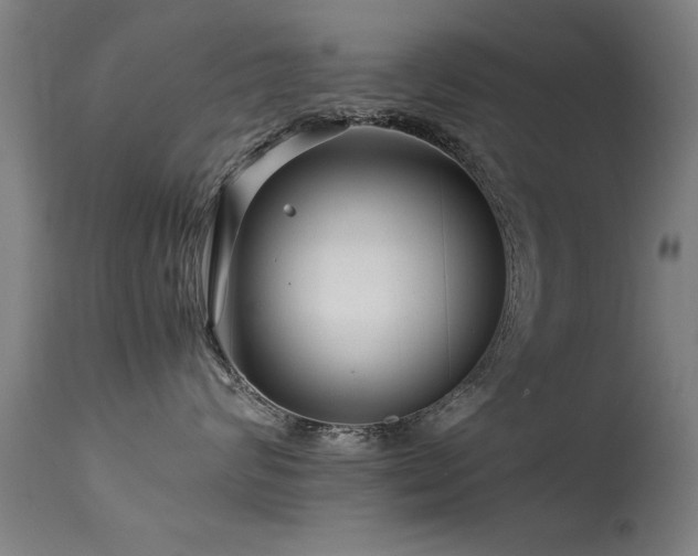 X0000113370624200909221224