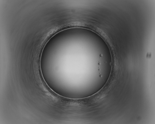 X0000113370625200909221224
