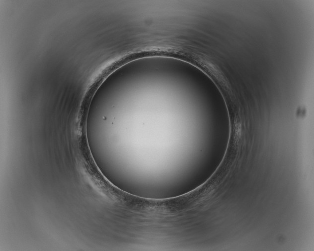X0000113370628200909221224