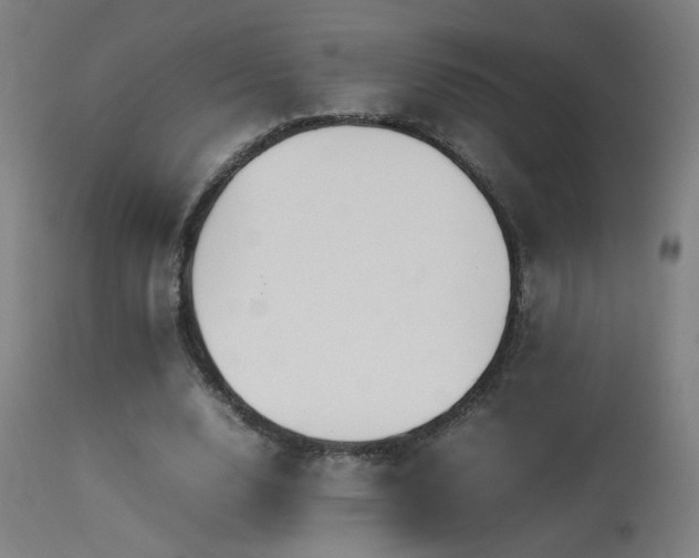 X0000113370632200909221224