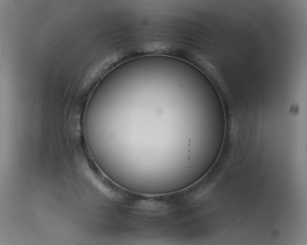 X0000113370633200909221224