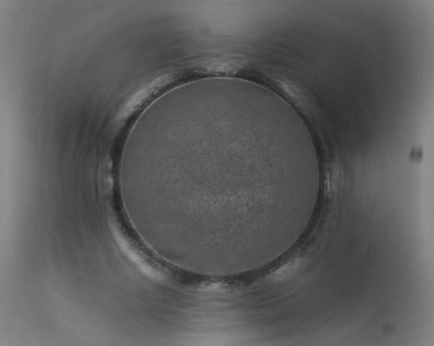 X0000113370634200909221224