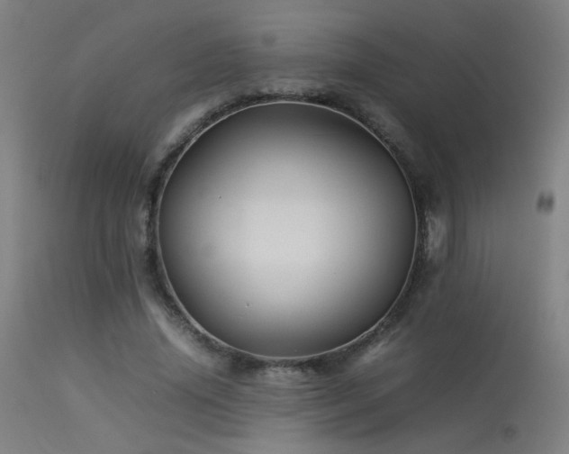 X0000113370636200909221224