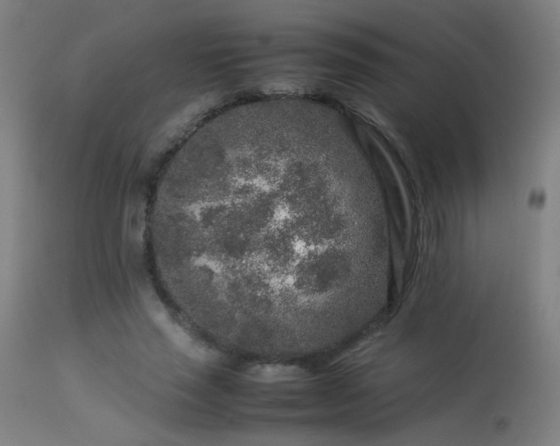 X0000113370637200909221224