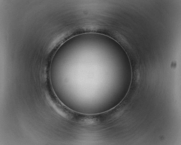 X0000113370638200909221224