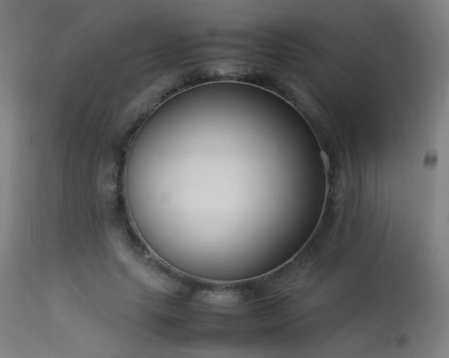 X0000113370639200909221224