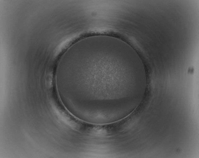 X0000113370640200909221224