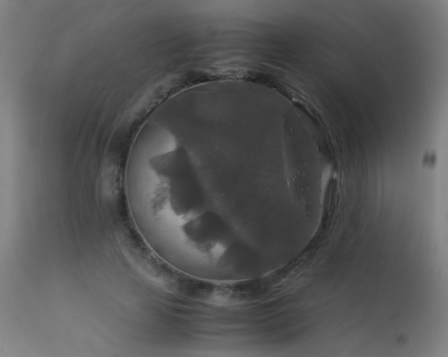 X0000113370641200909221224