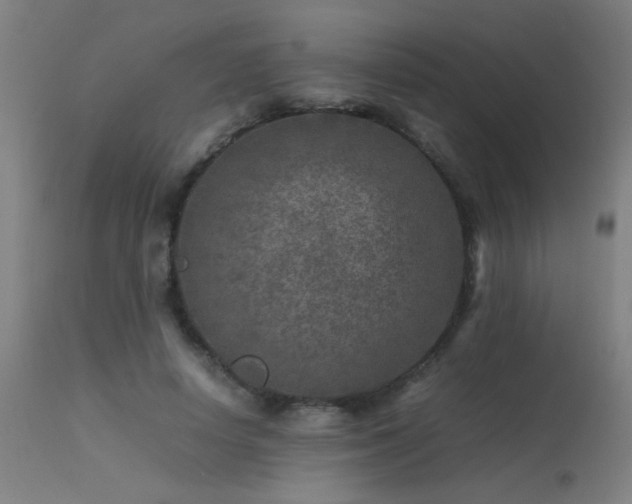 X0000113370642200909221224