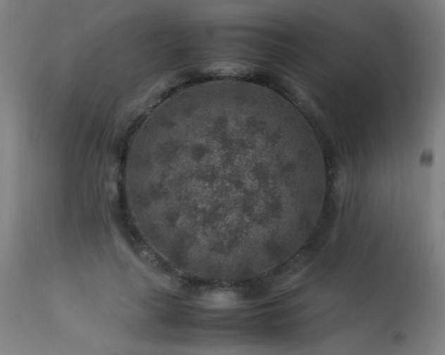 X0000113370643200909221224