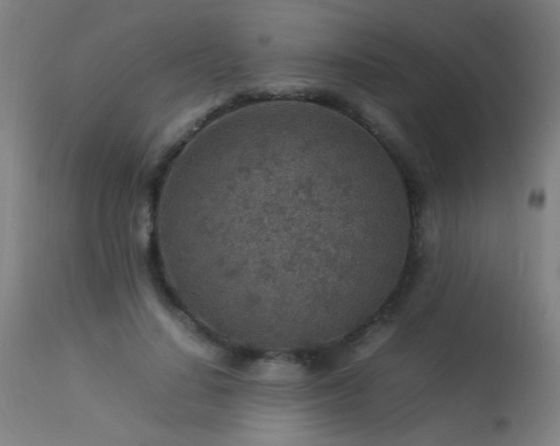 X0000113370644200909221224