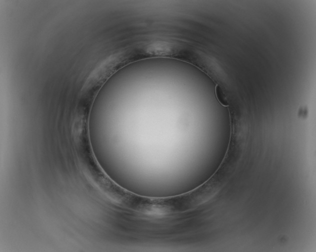X0000113370645200909221224