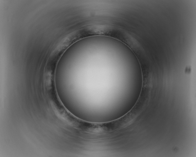 X0000113370646200909221224