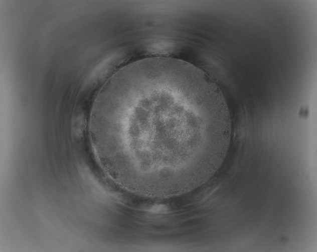 X0000113370647200909221224