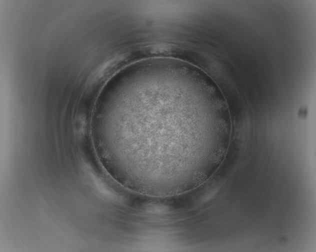 X0000113370648200909221224
