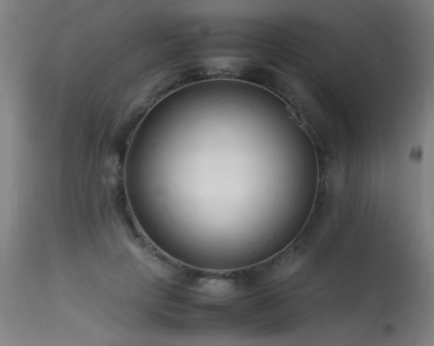 X0000113370649200909221224