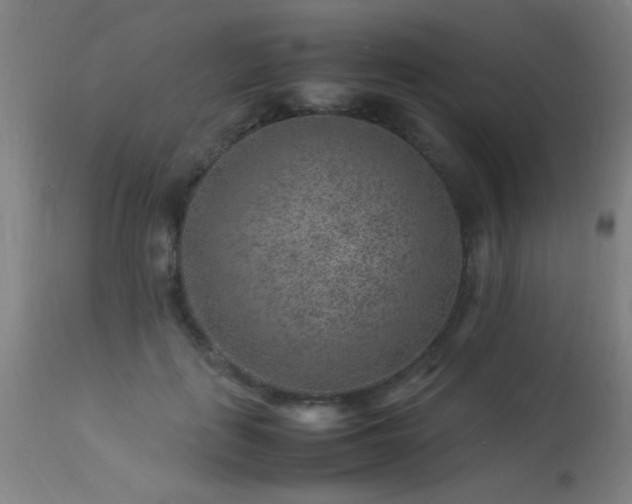 X0000113370651200909221224