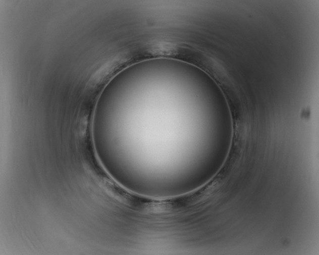 X0000113370652200909221224