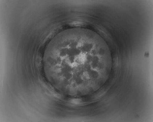X0000113370653200909221224