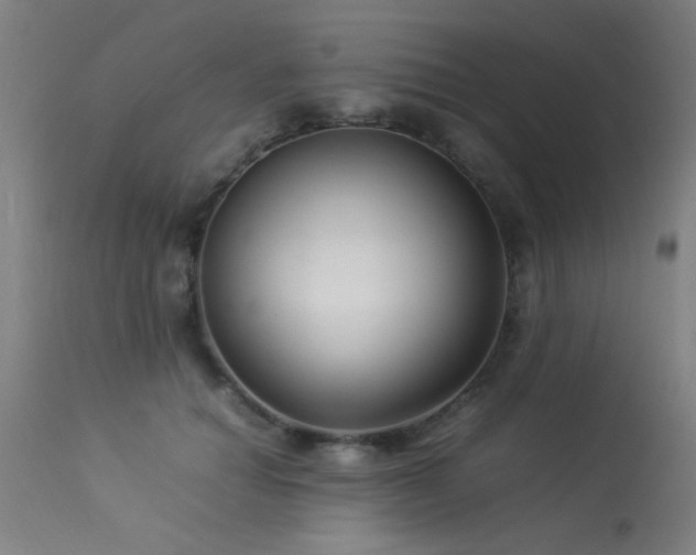X0000113370654200909221224