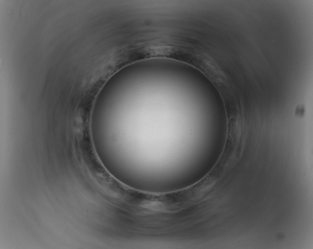 X0000113370655200909221224