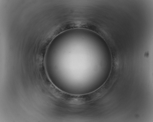 X0000113370657200909221224