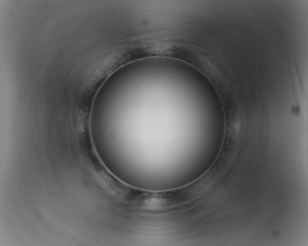 X0000113370658200909221224