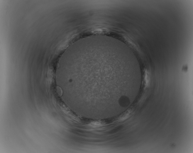 X0000113370659200909221224