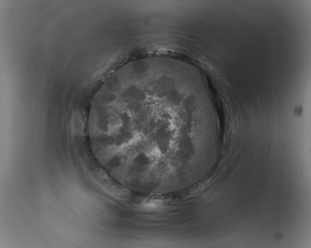 X0000113370661200909221224