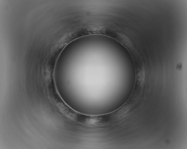 X0000113370662200909221224