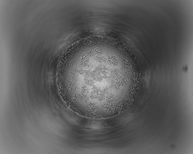 X0000113370663200909221224