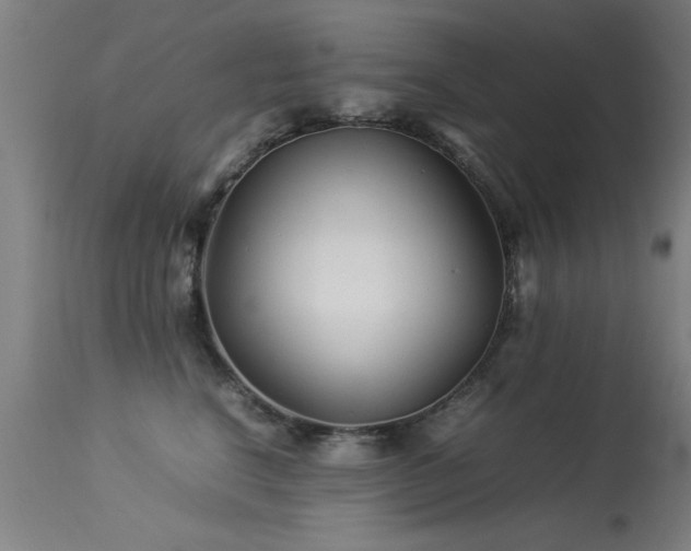 X0000113370664200909221224