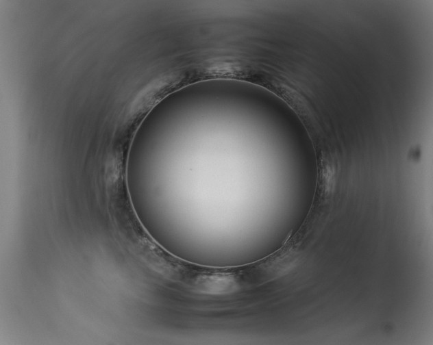 X0000113370665200909221224