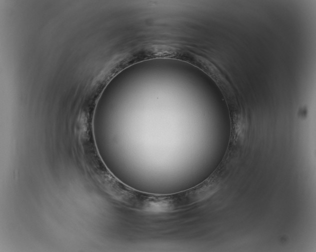 X0000113370667200909221224