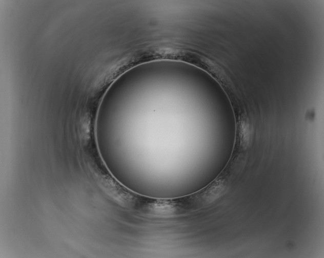 X0000113370668200909221224