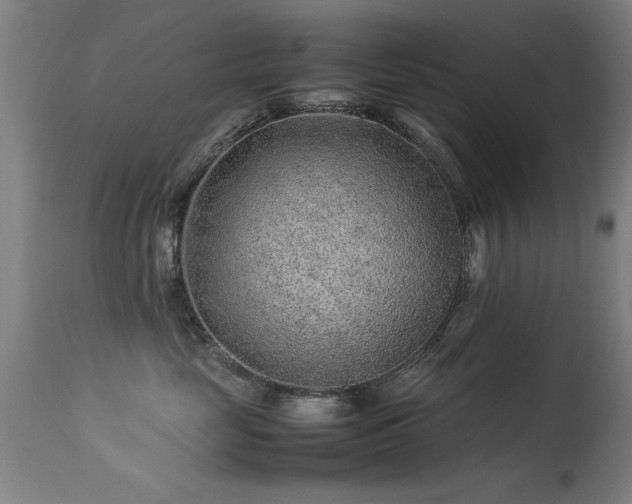 X0000113370669200909221224