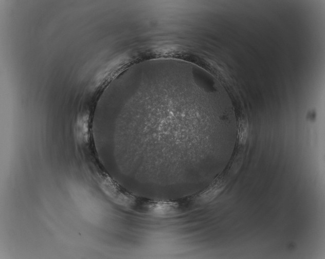X0000113370670200909221224