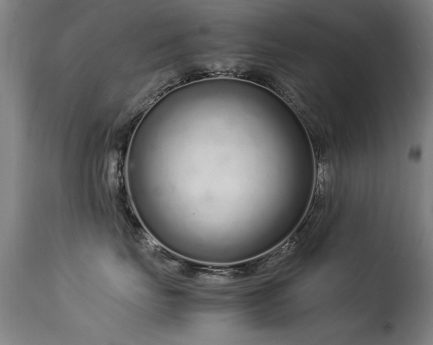 X0000113370671200909221224