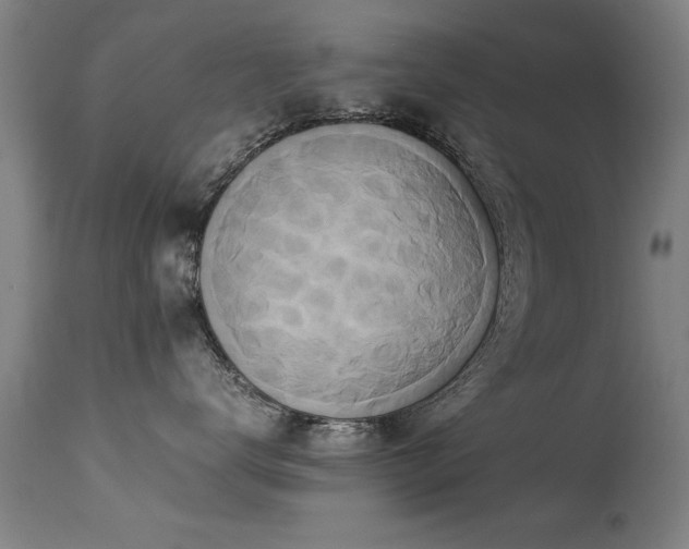 X0000113370672200909221224