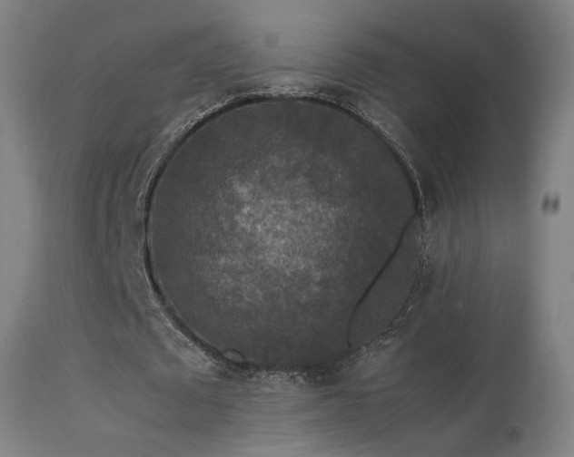 X0000113370673200909221224