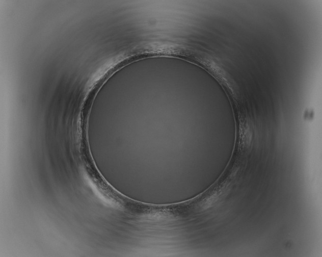 X0000113370674200909221224